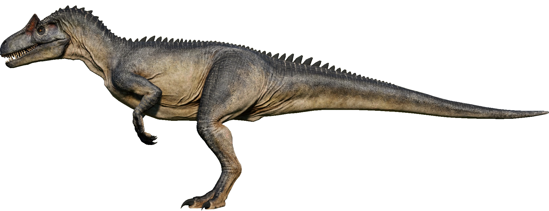 Allosaurus 1 copia - BANDAI México