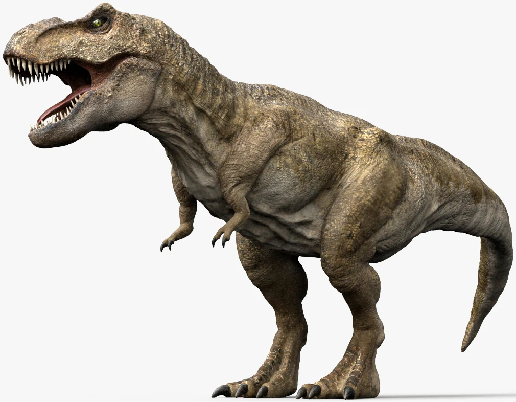 Tyrannosaurus rex 1 copia - BANDAI México